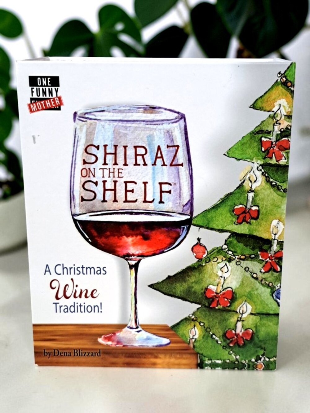 Shiraz on the Shelf Gift Set – Wine Glass and Book